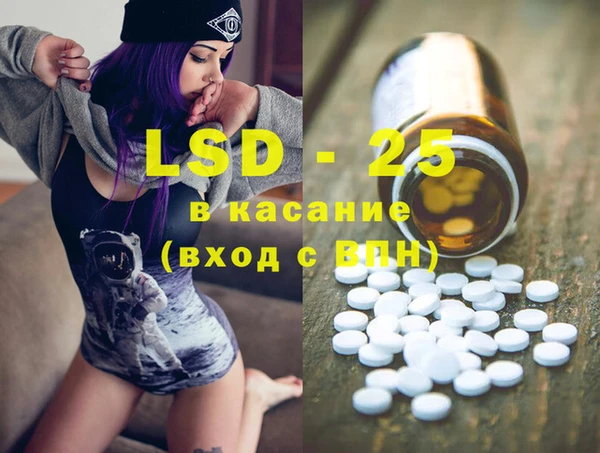 индика Алексин
