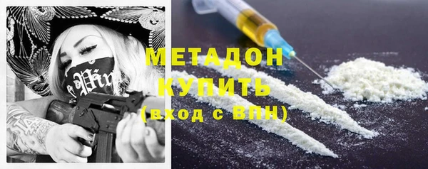 индика Алексин