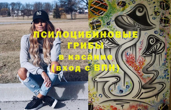 индика Алексин