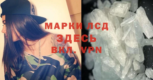 индика Алексин