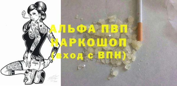 индика Алексин