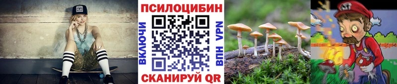Псилоцибиновые грибы мицелий  закладки  mega зеркало  Орёл 
